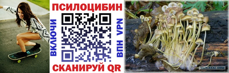 мориарти наркотические препараты  Минусинск  Галлюциногенные грибы мицелий  гидра  